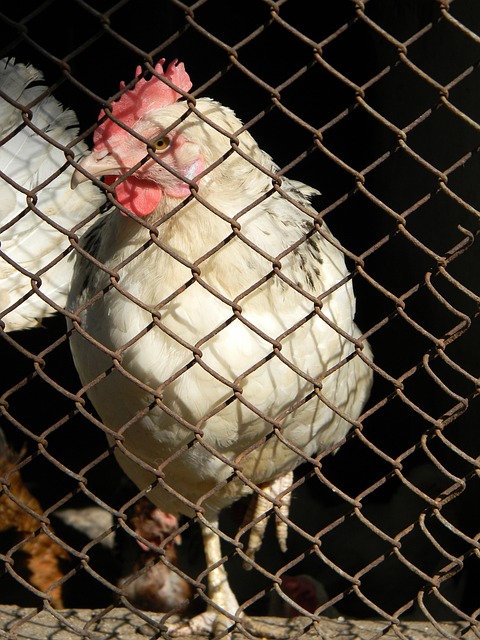 这一主题 这一主题