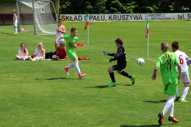 菲尼克斯太 菲尼克斯太