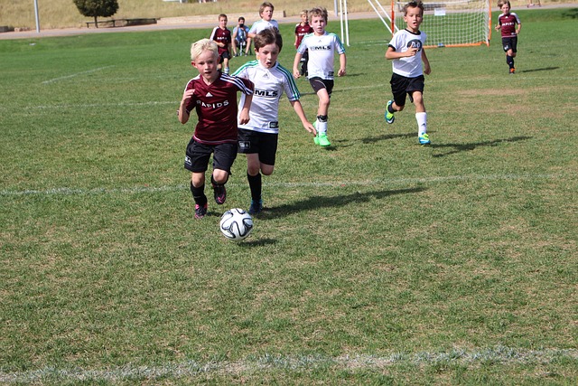 凯恩的状态 凯恩的状态