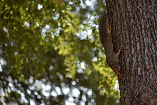 的技术风格 的技术风格