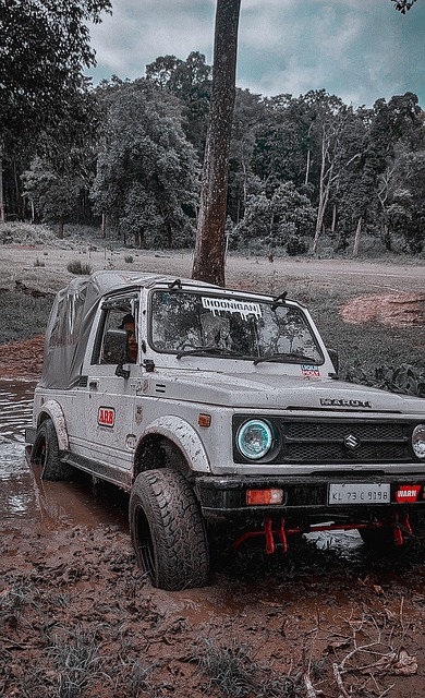 并签约至 并签约至