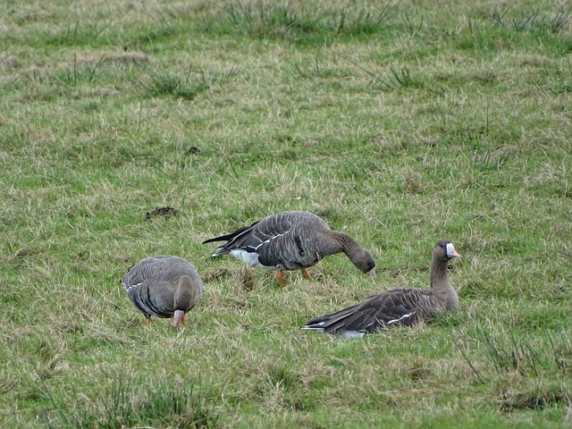 严密的防守 严密的防守