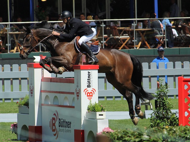 和人道主义 和人道主义