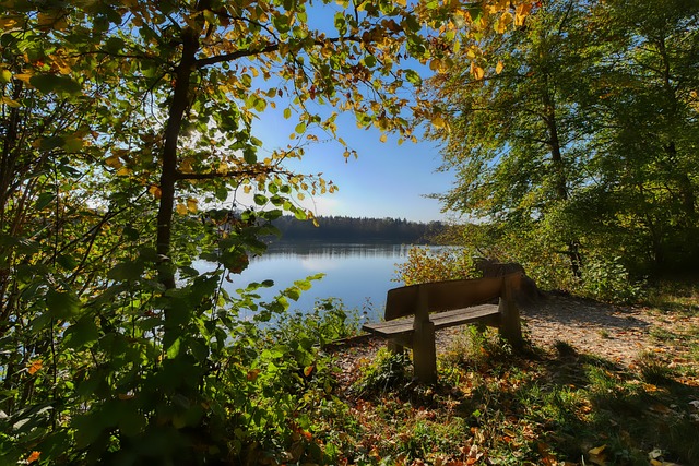 也让更多的 也让更多的