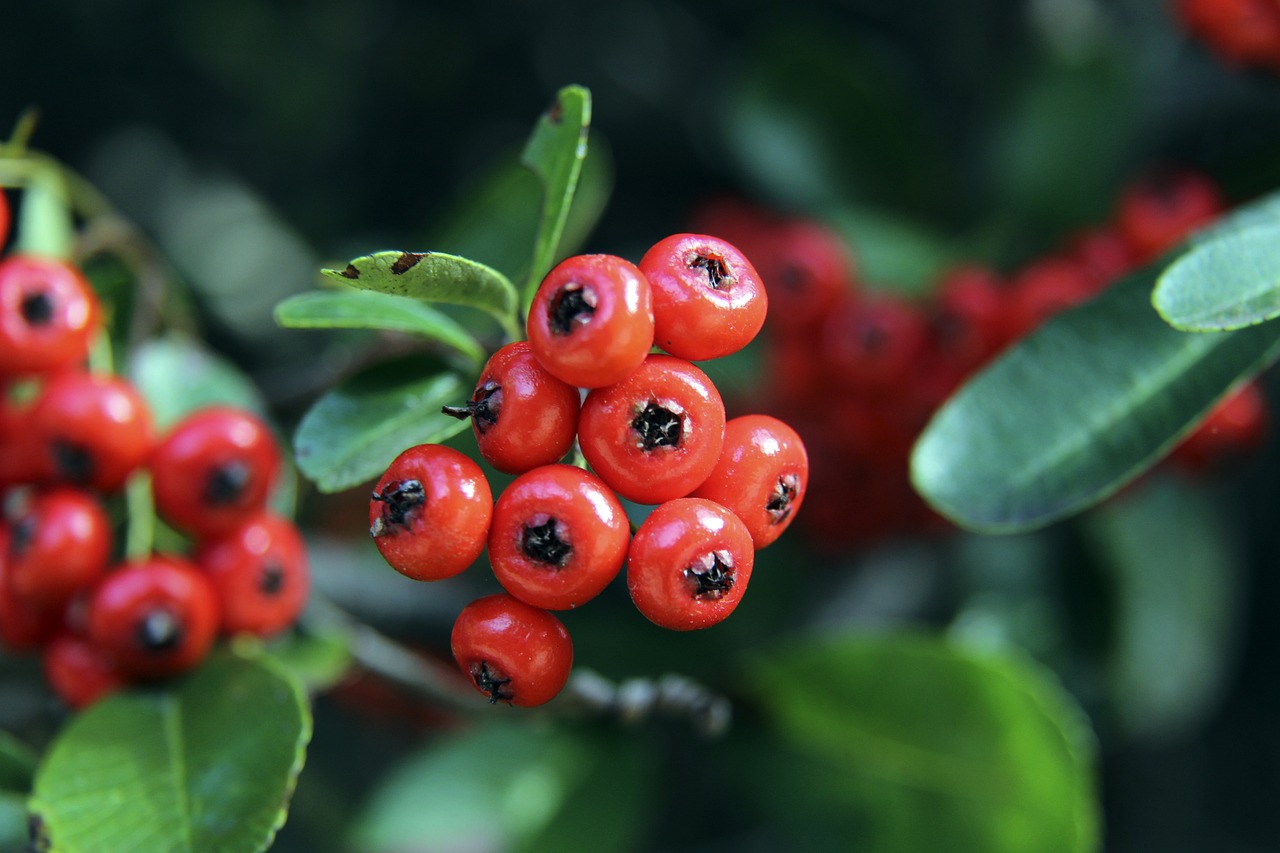 他们可根据 他们可根据